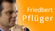 Friedbert Pflger